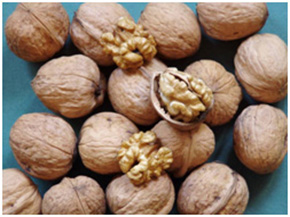 Puieti de nuc Alsószentiváni