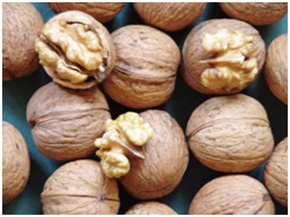 Puieti de nuc Milotai