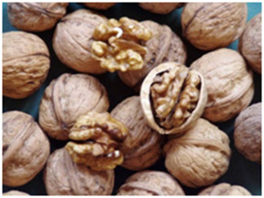 Puieti de nuc Tiszacsécsei